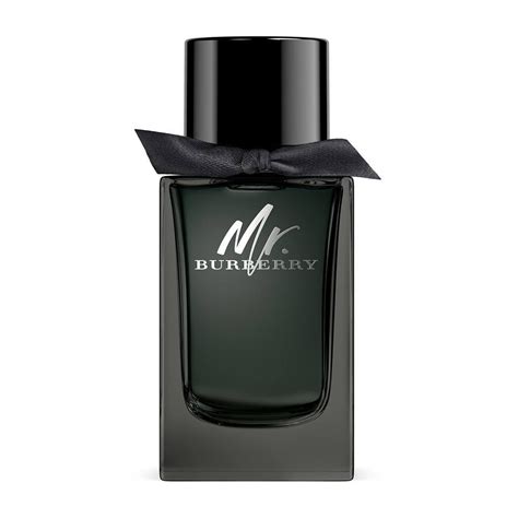 mr burberry profumo uomo ingredienti|mr burberry cologne.